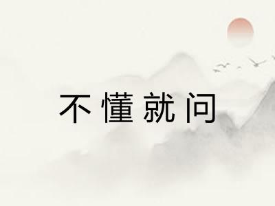 不懂就问
