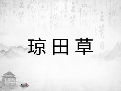 琼田草