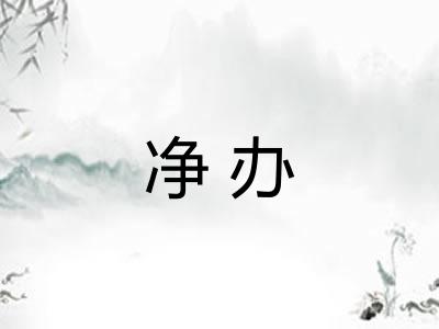 净办 净办