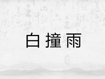 白撞雨