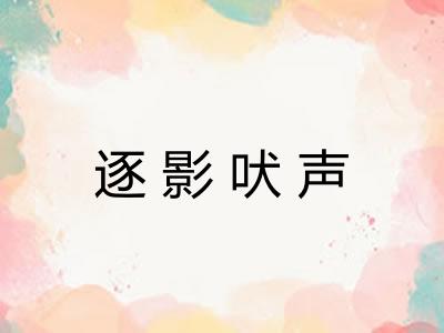 逐影吠声