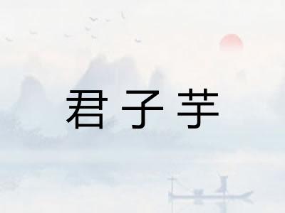 君子芋 君子芋