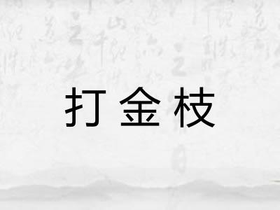 打金枝