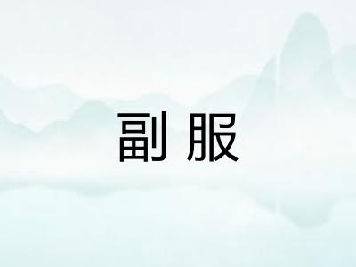 副服