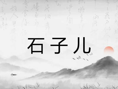 石子儿 石子儿