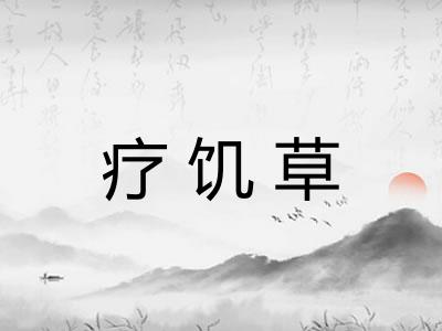 疗饥草 疗饥草