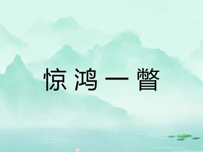 惊鸿一瞥