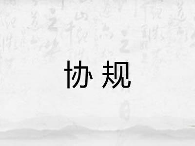 协规