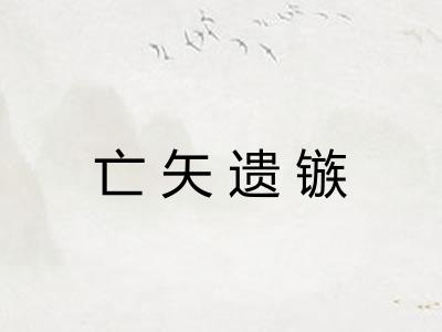 亡矢遗镞