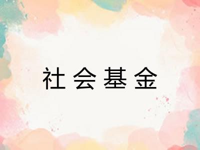 社会基金