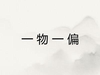 一物一偏