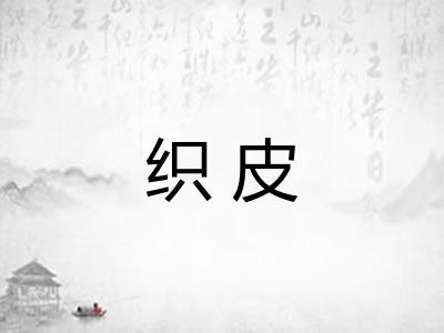 织皮 织皮