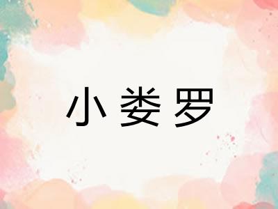 小娄罗