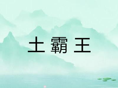 土霸王