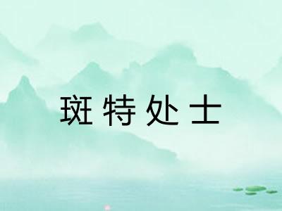 斑特处士