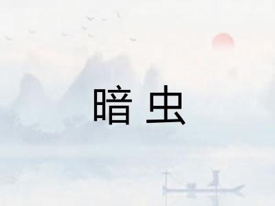暗虫 暗虫