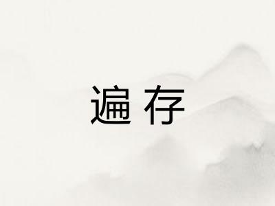 遍存
