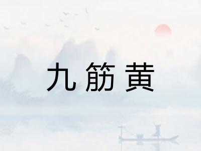 九筋黄