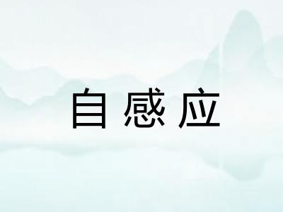 自感应 自感应