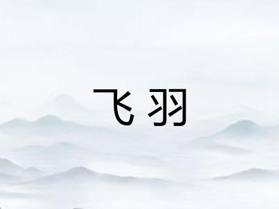飞羽