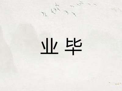 业毕