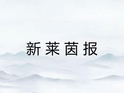 新莱茵报