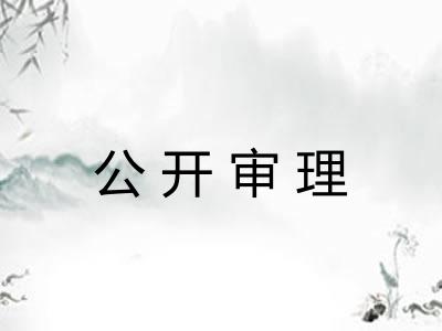 公开审理