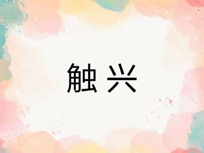 触兴