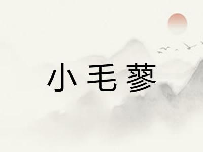 小毛蓼 小毛蓼