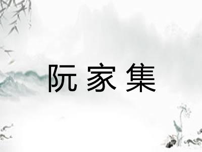 阮家集