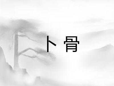 卜骨