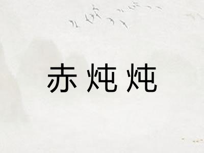 赤炖炖
