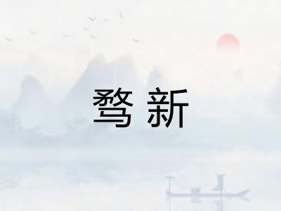 骛新