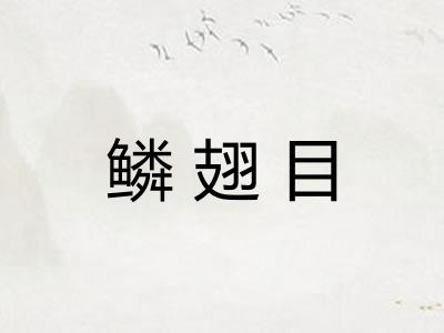 鳞翅目