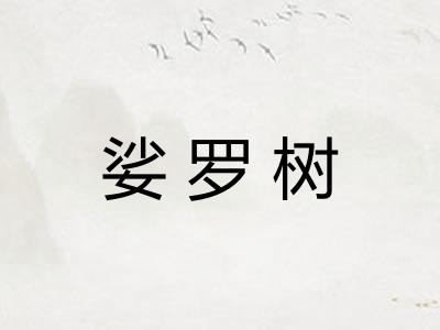 娑罗树 娑罗树