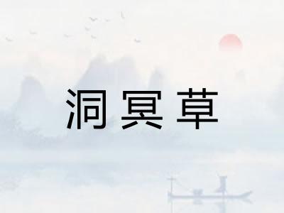 洞冥草