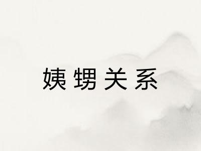 姨甥关系