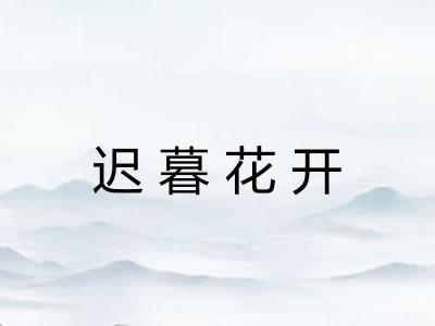 迟暮花开 迟暮花开