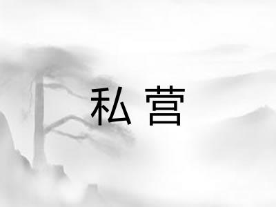 私营