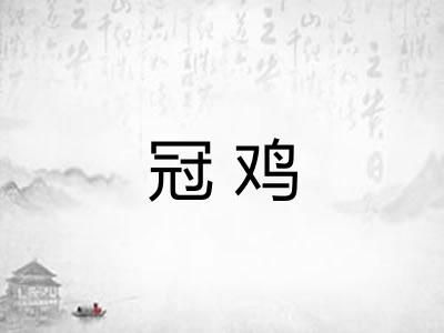 冠鸡
