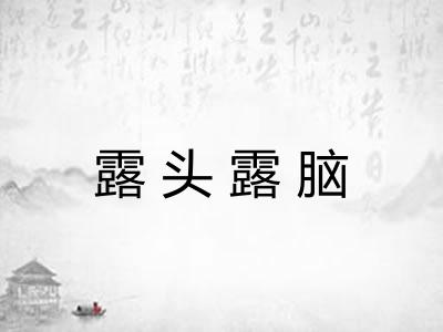 露头露脑