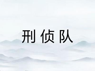 刑侦队