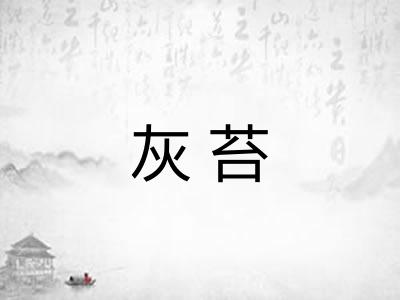 灰苔