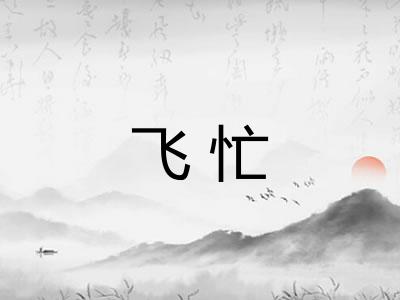 飞忙