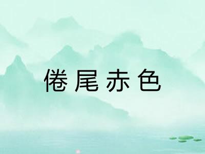 倦尾赤色