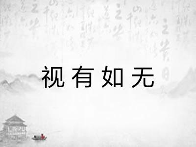 视有如无