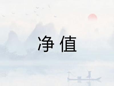 净值 净值