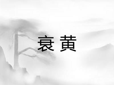 衰黄 衰黄