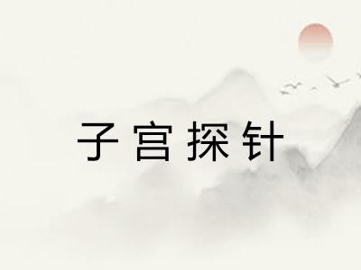 子宫探针
