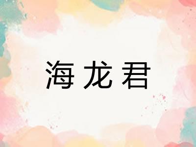 海龙君 海龙君